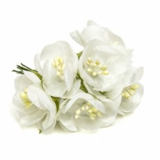Regalos originales para mujeres. Flores blancas